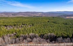 Lower Rockwood Rd Lot 21, Rockwood, TN 37854