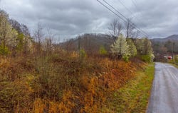 Connor Rd, Sylva, NC 28779