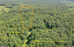LOT 1 - WARDS FOREST AVE, BEAVERDAM, VA 23015