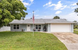 2529 UMBRELLA TREE DRIVE, EDGEWATER, FL 32141