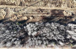 Parcel B Parameter Road, Deer River, MN 56636