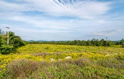 412 NYS Route 86, Saranac Lake, NY 12983