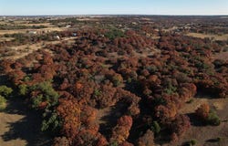 395 Pepper Lane, Weatherford, TX 76088