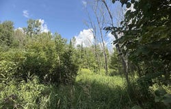 TBD Tree Top, Ironwood, MI 49938