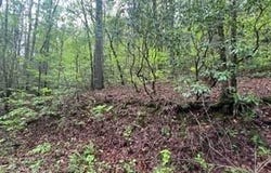 Lot 139  Bear Den Trl, Grandview, TN 37337