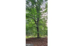 272 MOON SHADOW LANE, LOUISA, VA 23093