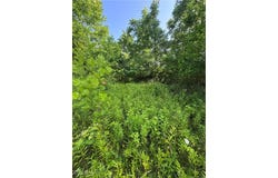 10170 Pierson Lane, Mcconnelsville, OH 43756