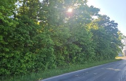 LOT 1 E SUNSET AVE, GREENSBORO, MD 21639