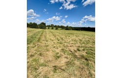 001 Tbd County Road 900, Theodosia, MO 65761