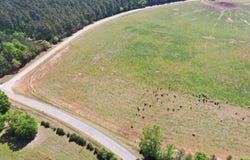 Crawford Road, Tract B, Due West, SC 29639