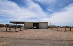 100 Walleyed Pike Drive, Logan, NM 88426
