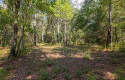 527 Mouzons Bluff, McClellanville, SC 29458