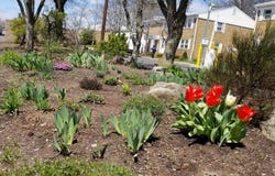 172 Evergreen Road, Edison, NJ 08837
