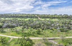 3531 RR 3347 Road, Round Mountain, TX 78663