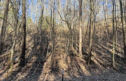 Lot 1 Indian Gap Road, Sevierville, TN 37876