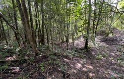 24 Nelson Road, Poplarville, MS 39470