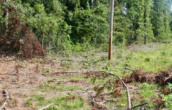 Laurinburg Road Highway S, Raeford, NC 28376