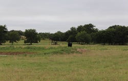 TBD E1720 Rd, Elmore City, OK 73433