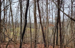 LOT 6 Brooks Mill RD, Glade Hill, VA 24092