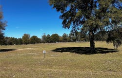 NW 464B, MORRISTON, FL 32668