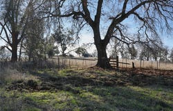 19755 Grange, Middletown, CA 95461