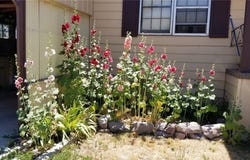 561 Main, Caliente, NV 89008