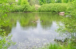 50 Little Rest Rd, Brimfield, MA 01010