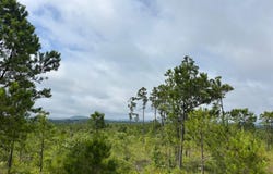 Tract 4 Tom Cat Road, Gadsden, AL 35903