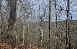 197 Plain View Ridge, Sylva, NC 28779