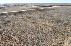 Lot 8 County Road 634, Wellman, TX 79378