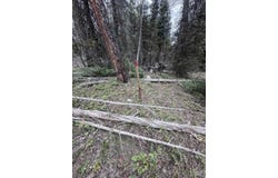 766 Crest Drive, Cimarron, CO 81220