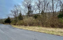 Lot 47 TUPELO LOOP, SPRINGFIELD, WV 26763