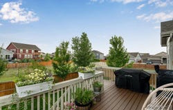 1272 Baker Pass St, Severance, CO 80550