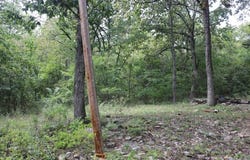 121 Wickham Road, Mountain View, AR 72560