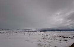 LOT 21 WHITE BEAR Road, Daniel, WY 83115