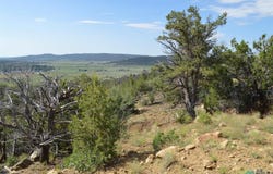 5 ACRES Tbd Asay Road, Ramah, NM 87020