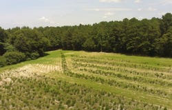 829 0 Whittington Road, Bunnlevel, NC 27244
