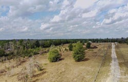 20 Acres Tanner Ridge Rd, Jay, FL 32565
