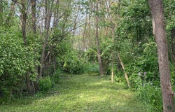 14450 Milton Road, Milton, IN 47357