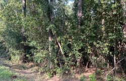 TBD Parkwood Avenue 10, North, SC 29112