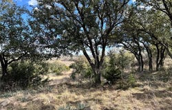 Tbd Lot 240 Feather Bay Drive, Brownwood, TX 76801