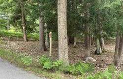 7 Deer Park, Glen Arbor, MI 49636