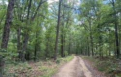 Forest Service Road, Birch Tree, MO 65438