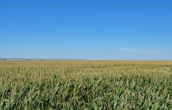 State Hwy 89, Holly, CO 81047