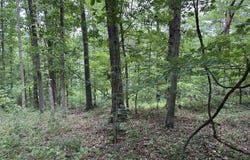 Lot 7 Eccleston  LN, Bella Vista, AR 72714