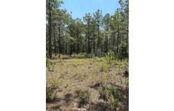 3245 CR 1095, Center, TX 75935