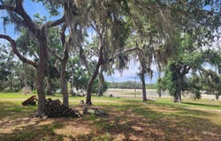 427 NE 268 AVE, Old Town, FL 32680