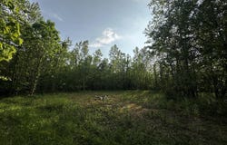 250 N County Road 200 E N, Winamac, IN 46996