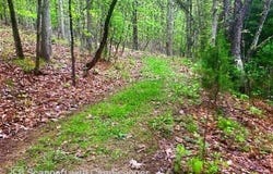 Iris Lane, Peterstown, WV 24963