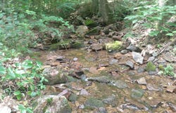 578 ROUSE MOUNTAIN ROAD, GREAT CACAPON, WV 25422